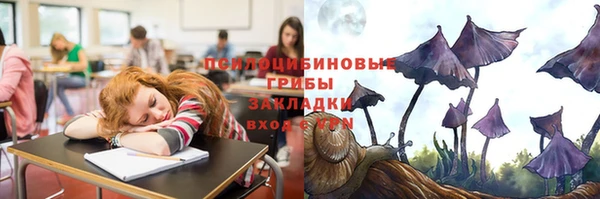 винт Аркадак