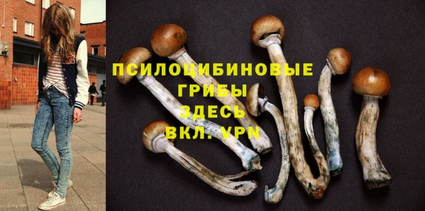 винт Аркадак