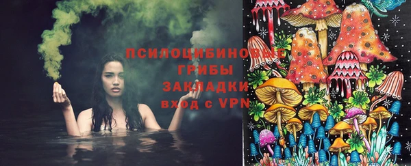 винт Аркадак