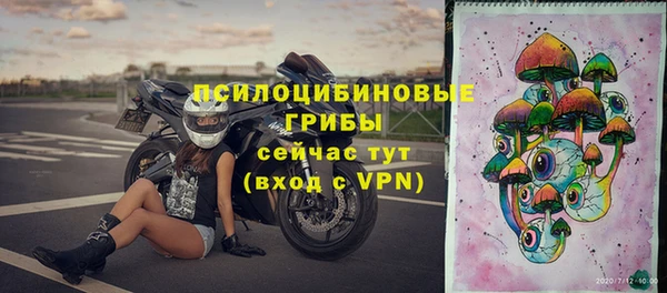 винт Аркадак